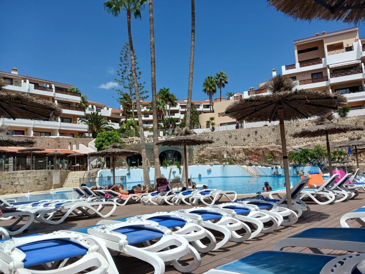 Chillout Studio Albatros In Toller Anlage Mit Pool San Miguel de Abona Exteriér fotografie