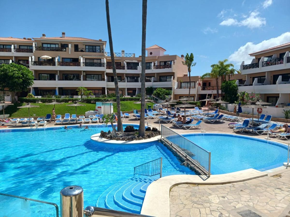 Chillout Studio Albatros In Toller Anlage Mit Pool San Miguel de Abona Exteriér fotografie
